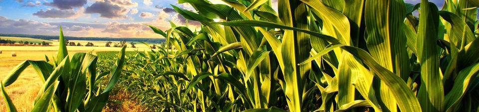 Agricultural pumps