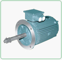 Cooling Tower Motors