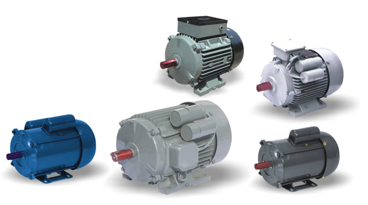 Squirrel Cage Induction Motors (Single Phase)