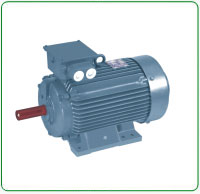 Thresher Electric Motor 